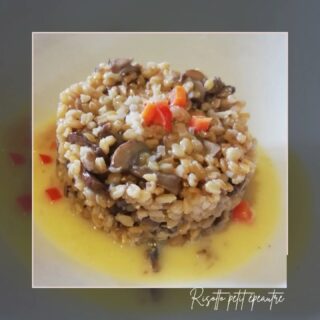 🍽️ RISOTTO PETIT ÉPEAUTRE 🍽️

Simple et efficace. Petit épeautre, beurre, muscadet, champignons de Paris, bolet...

Et un petit beurre blanc nantais.

-
#risotto #petitepeautre #champignons #lesartsatable #saintfulgent