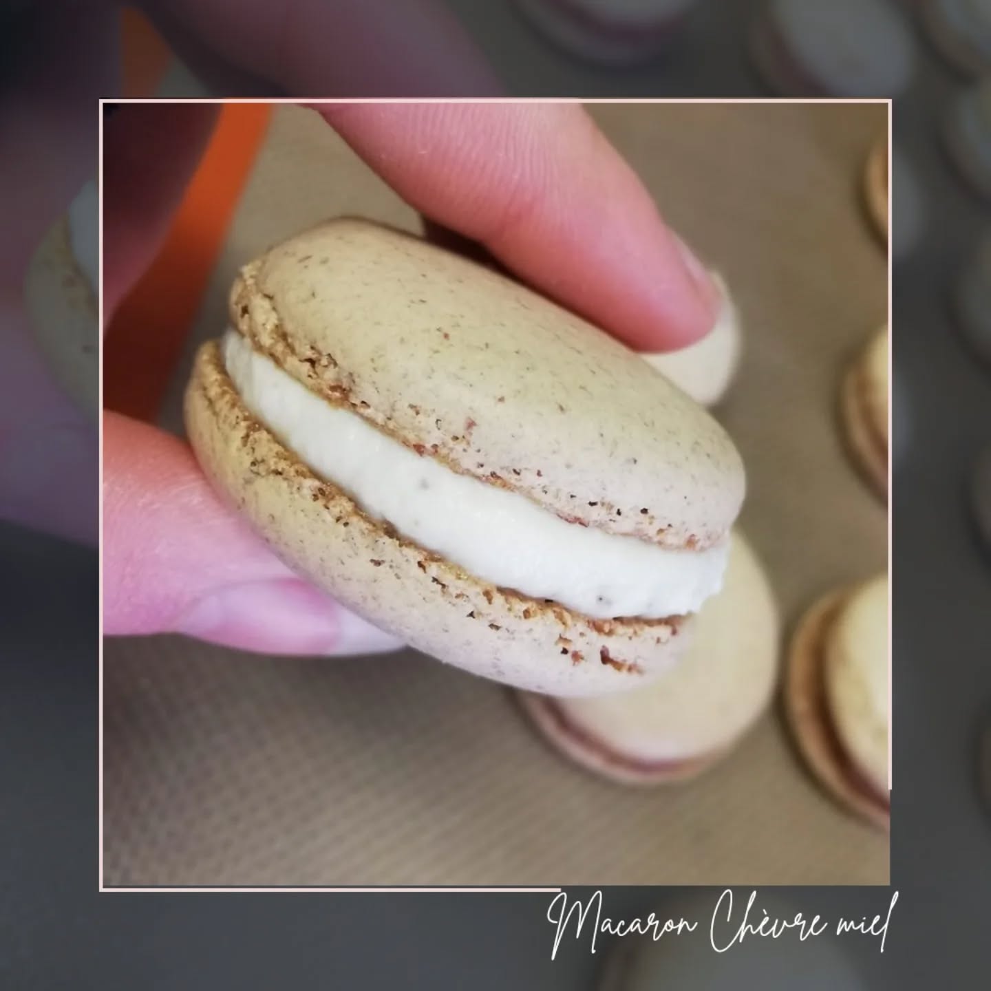 🐐 MACARONS CHÈVRE MIEL 🐐

Macarons salé réalisé par nos élèves ce matin : fromage de chèvre, miel de châtaignier, noix torréfiée.

-
#macarons #mieldechâtaignier #fromagedechevre #lesartsatable #saintfulgent