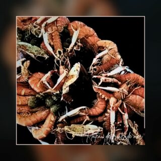 🦀🦞 PLATEAU DE FRUITS DE MER 🦞🦀

Grace à notre fournisseur poissonnier, vous pouvez avoir pour vos repas de fête un magnifique plateau avec crabes, langoustines, crevettes, coquillages divers..

Ne pas hésiter à demander lors de votre prise de contact.

Le tout servi avec des mayonnaises maison parfumées (algues, ail noir...) et accompagné de délicieux petits pains de notre fournisseur boulanger @la_fabrique_a_pain_boulangerie

-
#fruitsdemer #crabe #langoustine #crevettes #bulots #bigorneaux #mayonnaise #saintfulgent #lesartsatable